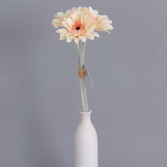 2023 新デザイン北欧スタイルのプラスチック花瓶ラウンドシリンダー高品質ベーキングペイント花瓶 Maceteros 家の装飾用 (HG-3301)